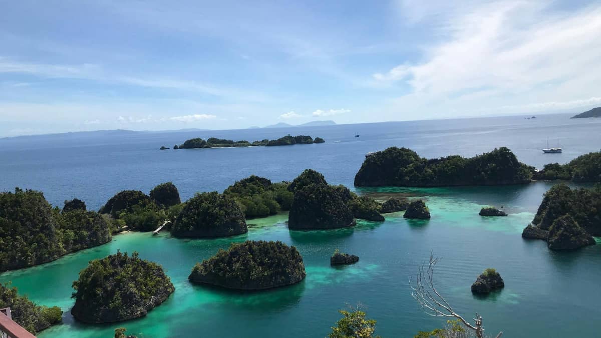 Dive in Raja Ampat (Papua)